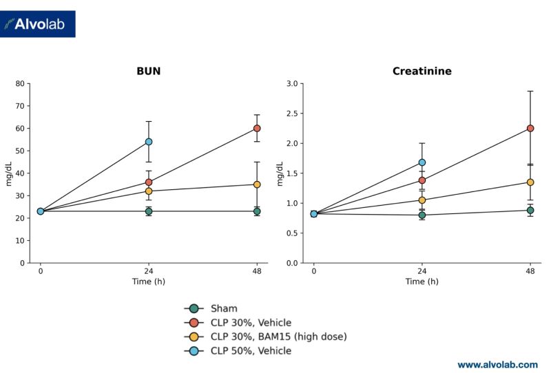Image from Alvolab's LinkedIn post on the CLP model of sepsis-associated AKI