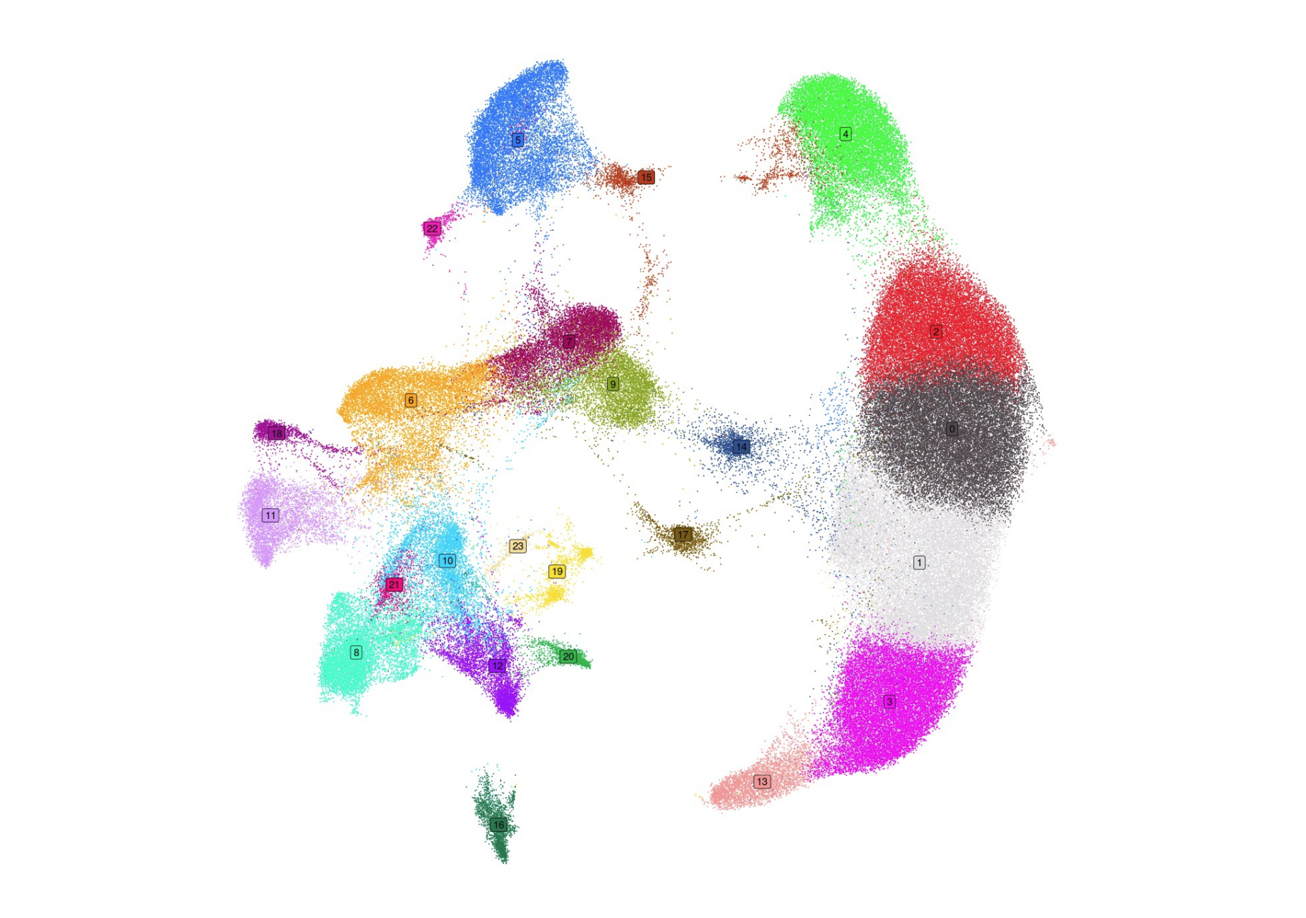 Single cell sequencing data visualisation